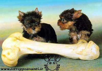 Ci vuole un mese!!