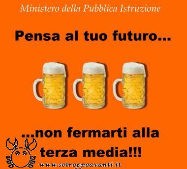 Istruzione Terza Media